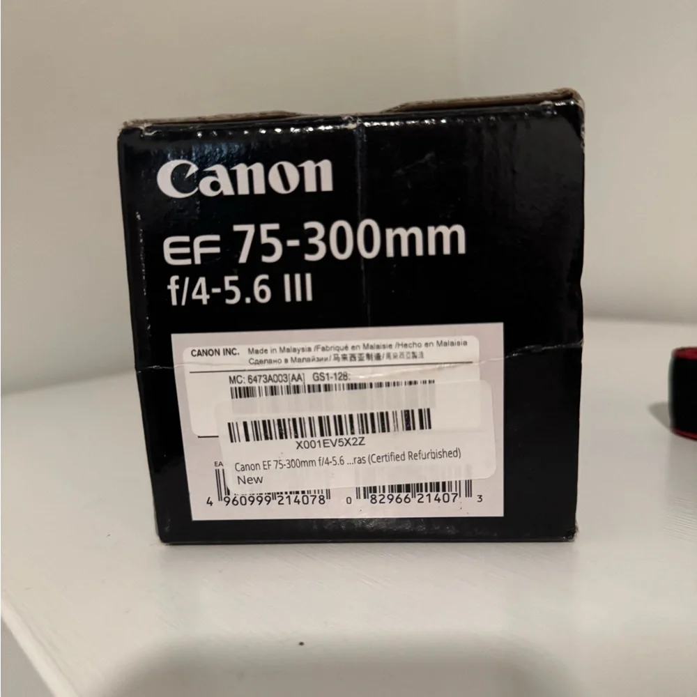 Canon EOS Rebel t6 Camera Set with Extra Lens (Ef 75-300mm)